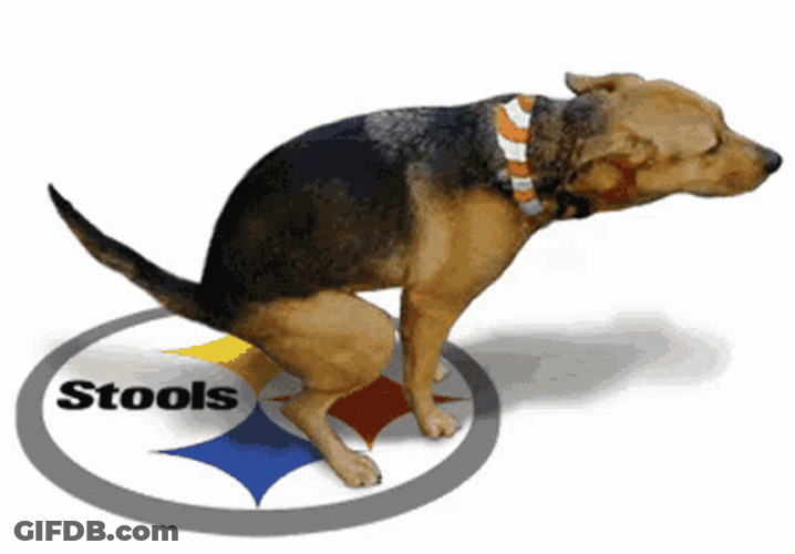 Dog Excreting Poop Inside A Circle GIF