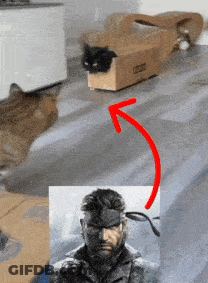 Dog Face In Car Mouth Open GIF