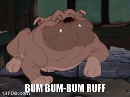 Dog Face With Christmas Stocking GIF