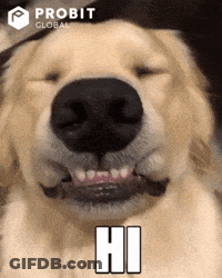 Dog Face With Probit Global Logo GIF