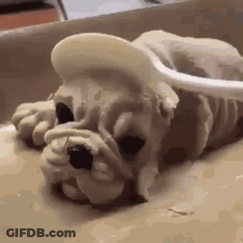 Dog Face With Word Collective GIF