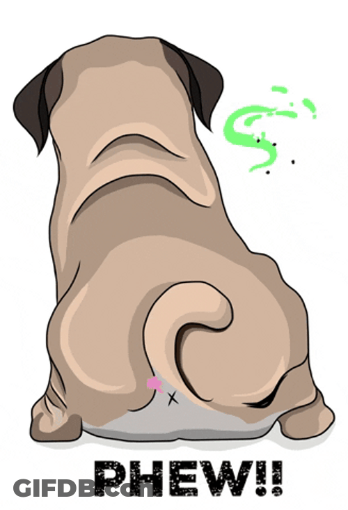 Dog Fart Phew GIF