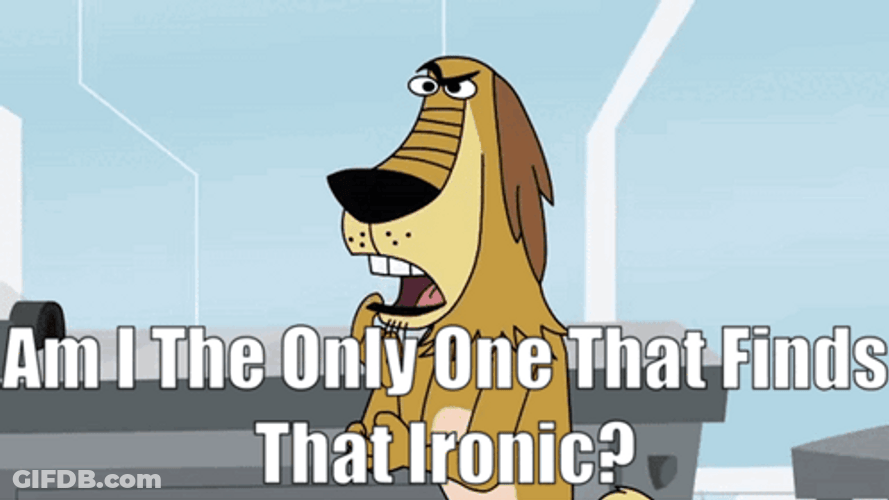 Dog Finds It So Irony GIF