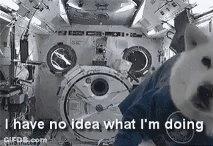 Dog Floating In Outer Space GIF