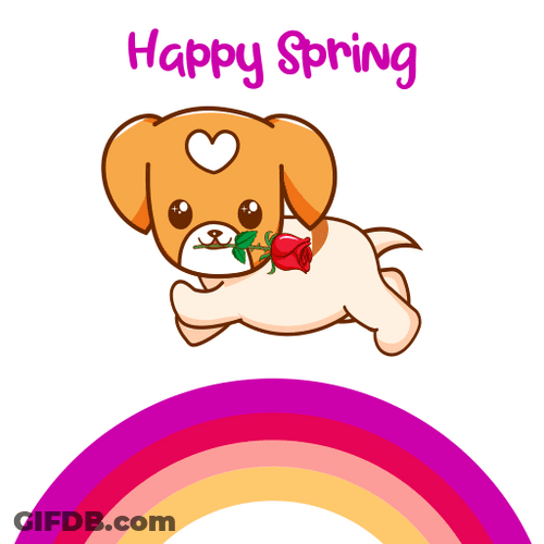 Dog Floating In The Rainbow Happy Spring GIF