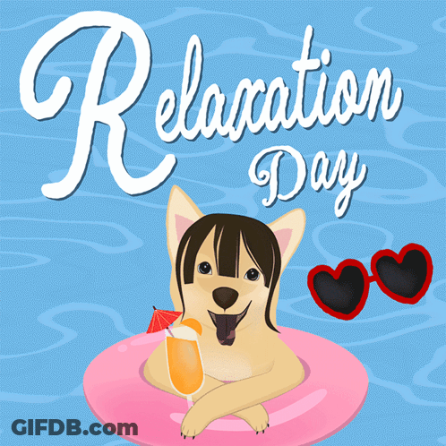 Dog Floating On Pink Float With Drink Relaxation Day GIF