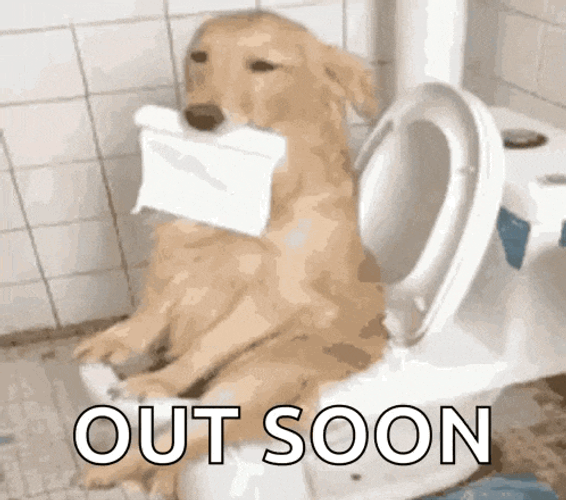 Dog Funny GIF