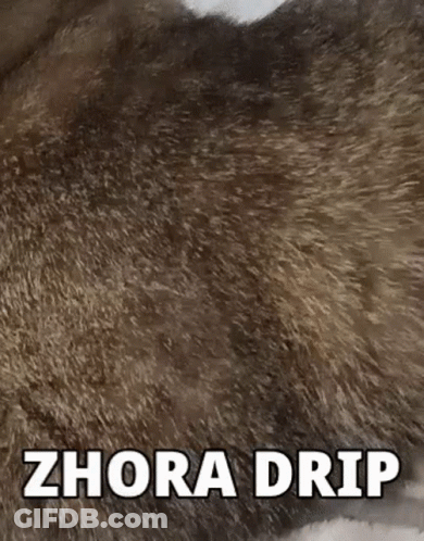 Dog Fur With Zhora Drip GIF