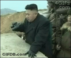 Dog Getting Haircut By Barber GIF