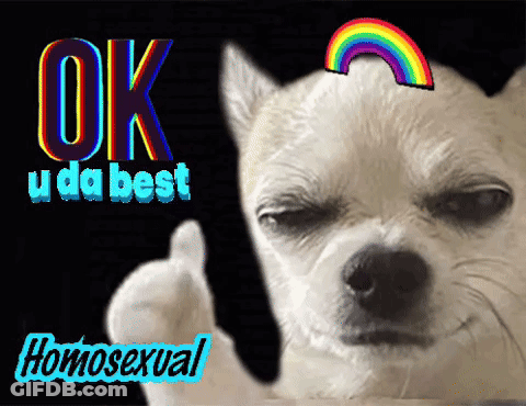 Dog Giving Thumbs Up Ok U Da Best GIF