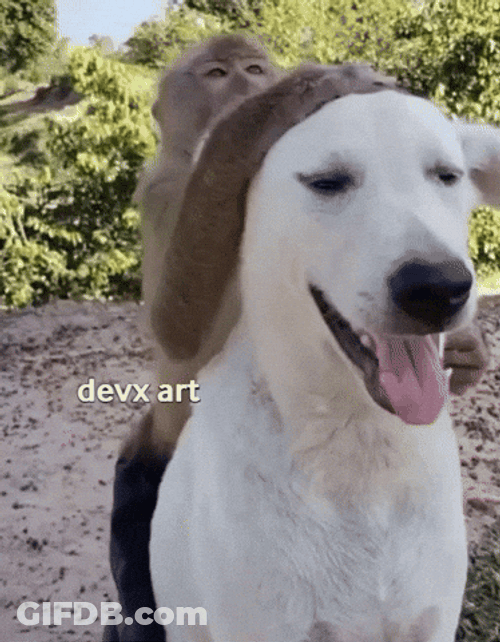 Dog Got Hair Pulling GIF