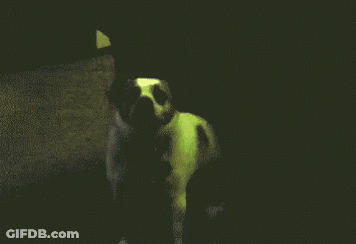 Dog Green Laser Dancing GIF