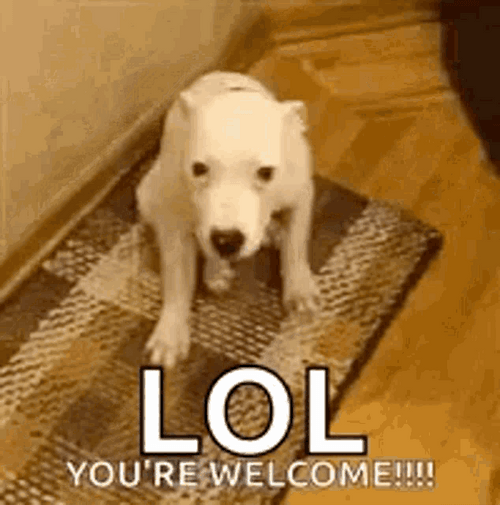 Dog Grin Lol GIF