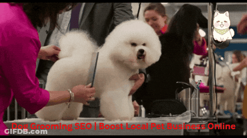 Dog Grooming SEO Boost Local Pet Business GIF
