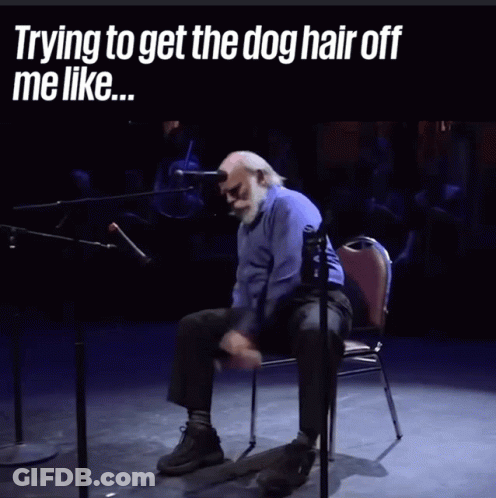 Dog Hair GIF