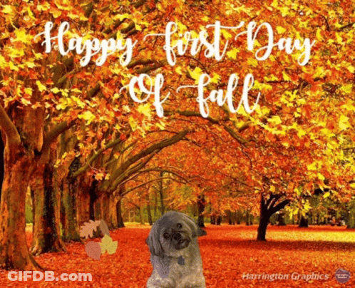 Dog Happy First Day Of Fall GIF
