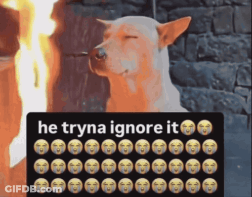 Dog He Tryna Ignore It GIF
