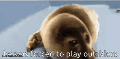 Dog He Was Forced To Play Outsiders GIF