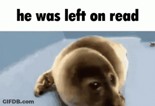 Dog He Was Left On Read GIF