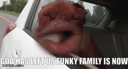 Dog Head Out Car Window God Left Us Funky Family Now GIF
