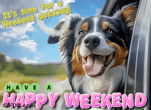 Dog Head Out Car Window Saying It's Time For A Weekend Getaway GIF