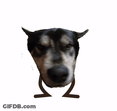 Dog Head With Drawn Legs GIF