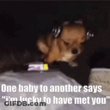 Dog Headphones Laying Says One Baby To Another GIF