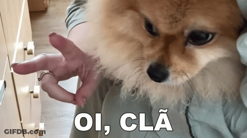 Dog Held By Person With Ring Saying Oi Cla GIF