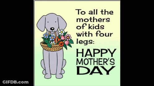 Dog Holding Basket Of Flowers Happy Mother's Day GIF