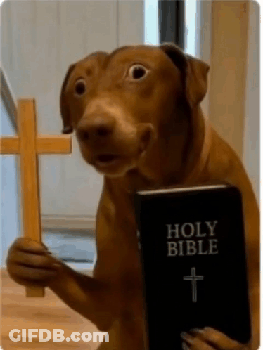 Dog Holding Bible And Cross GIF