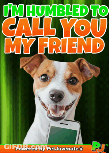 Dog Holding Cell Phone I'm Humbled To Call You My Friend GIF