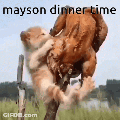 Dog Holding Chicken Saying Mayson Dinner Time GIF