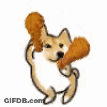 Dog Holding Chicken Wing GIF