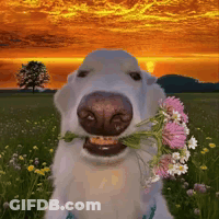 Dog Holding Flowers In Mouth Smiling GIF