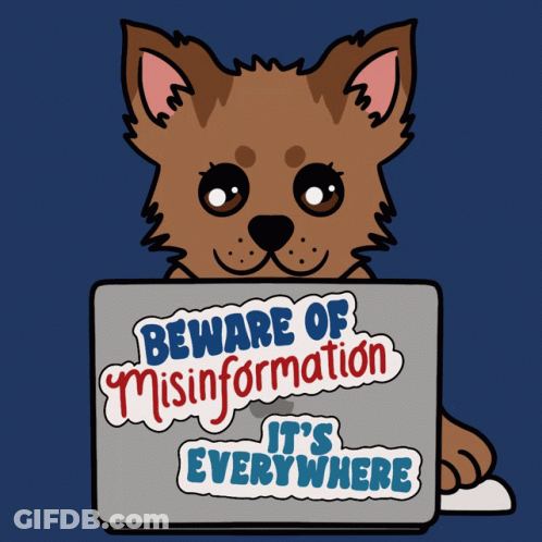 Dog Holding Laptop Saying Beware Of Misinformation GIF