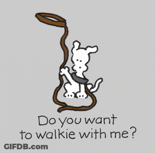 Dog Holding Leash Asking Do You Want Walkie GIF