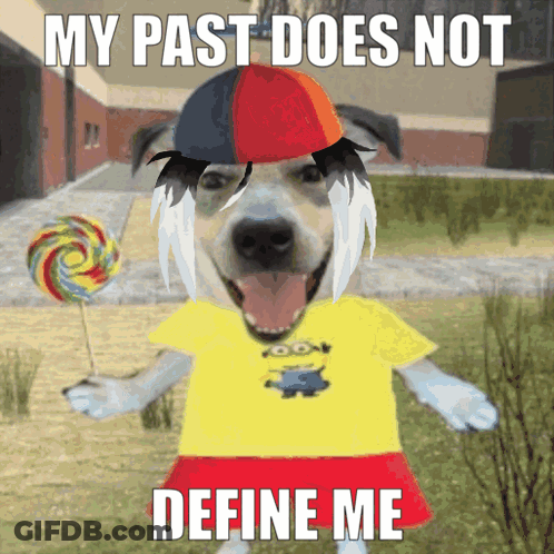 Dog Holding Lollipop Wearing Minions Shirt GIF