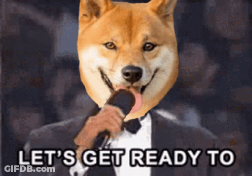 Dog Holding Microphone Saying Let's Get Ready To GIF