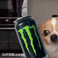 Dog Holding Monster Energy Drink GIF