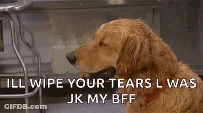 Dog Holding Napkin Saying I'll Wipe Your Tears GIF