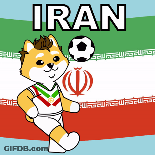 Dog Holding Soccer Ball In Front Of Iran Flag GIF