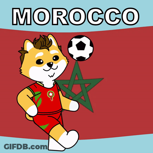 Dog Holding Soccer Ball Saying Morocco GIF