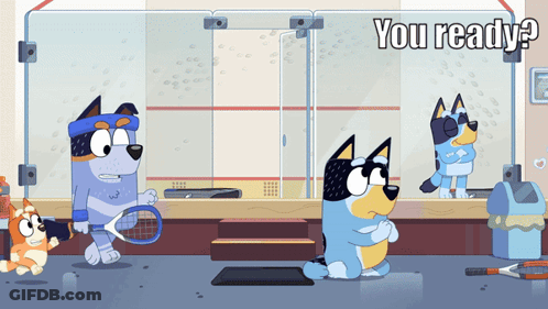 Dog Holding Tennis Racquet You Ready GIF