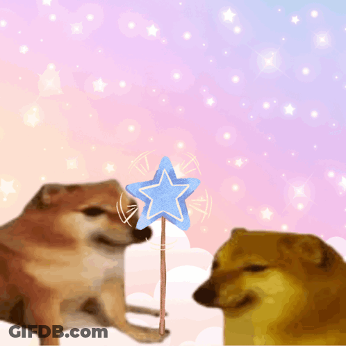 Dog Holding Wand With Nut GIF