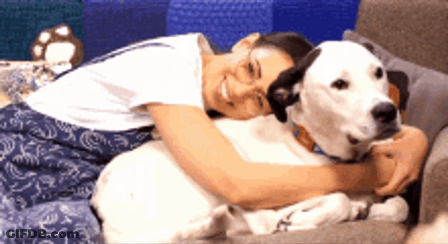 Dog Hug And Nap GIF