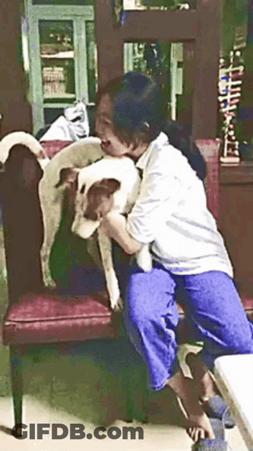 Dog Hug On Chair GIF