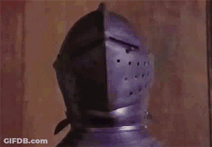 Dog In A Knight Costume GIF