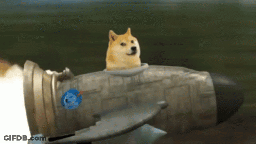 Dog In A Rocket Launch GIF