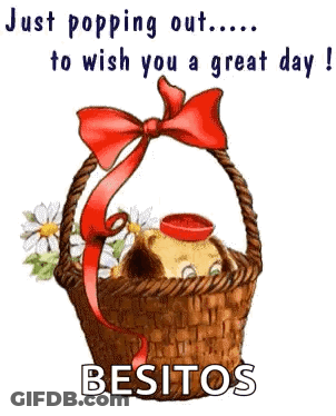 Dog In Basket With Flowers And Red Bow GIF