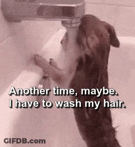 Dog In Bathtub Saying Another Time Maybe I Have To Wash My Hair GIF
